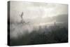 Misty Fantasy Forest-Algol2-Stretched Canvas