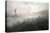 Misty Fantasy Forest-Algol2-Stretched Canvas