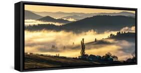 Misty farmland and mountains, Romania-Art Wolfe Wolfe-Framed Stretched Canvas