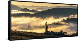 Misty farmland and mountains, Romania-Art Wolfe Wolfe-Framed Stretched Canvas