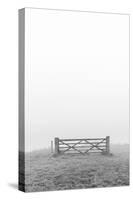 Misty Field-Alan Copson-Stretched Canvas