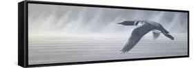 Misty Flight-Wilhelm Goebel-Framed Stretched Canvas