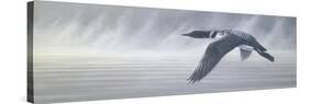 Misty Flight-Wilhelm Goebel-Stretched Canvas