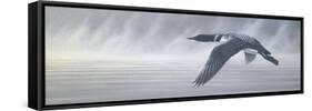 Misty Flight-Wilhelm Goebel-Framed Stretched Canvas