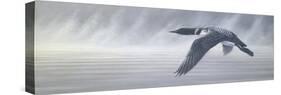 Misty Flight-Wilhelm Goebel-Stretched Canvas