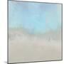 Misty Fog I-Dan Meneely-Mounted Art Print