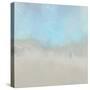 Misty Fog I-Dan Meneely-Stretched Canvas