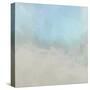 Misty Fog II-Dan Meneely-Stretched Canvas