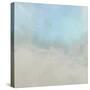 Misty Fog II-Dan Meneely-Stretched Canvas