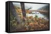 Misty Foggy Morning at The Tarn, Acadia National Park-Vincent James-Framed Stretched Canvas