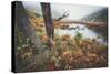 Misty Foggy Morning at The Tarn, Acadia National Park-Vincent James-Stretched Canvas