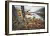 Misty Foggy Morning at The Tarn, Acadia National Park-Vincent James-Framed Photographic Print