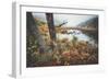 Misty Foggy Morning at The Tarn, Acadia National Park-Vincent James-Framed Photographic Print