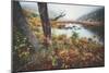 Misty Foggy Morning at The Tarn, Acadia National Park-Vincent James-Mounted Photographic Print