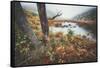 Misty Foggy Morning at The Tarn, Acadia National Park-Vincent James-Framed Stretched Canvas