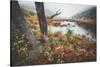 Misty Foggy Morning at The Tarn, Acadia National Park-Vincent James-Stretched Canvas