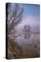 Misty Foggy Tree Scene, Merced Wildlife Refuge-null-Stretched Canvas