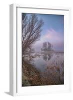 Misty Foggy Tree Scene, Merced Wildlife Refuge-null-Framed Photographic Print