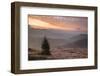 Misty Forest and Carpathian Mountains Landscape at Sunrise, Ranca, Parang Mountains-Matthew Williams-Ellis-Framed Photographic Print