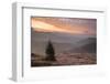 Misty Forest and Carpathian Mountains Landscape at Sunrise, Ranca, Parang Mountains-Matthew Williams-Ellis-Framed Photographic Print