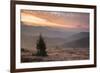 Misty Forest and Carpathian Mountains Landscape at Sunrise, Ranca, Parang Mountains-Matthew Williams-Ellis-Framed Photographic Print