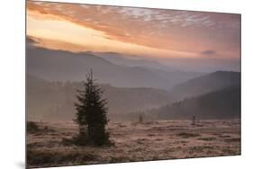 Misty Forest and Carpathian Mountains Landscape at Sunrise, Ranca, Parang Mountains-Matthew Williams-Ellis-Mounted Photographic Print