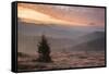 Misty Forest and Carpathian Mountains Landscape at Sunrise, Ranca, Parang Mountains-Matthew Williams-Ellis-Framed Stretched Canvas