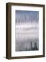 Misty Forest Near Mount Brooks-Paul Souders-Framed Photographic Print