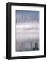 Misty Forest Near Mount Brooks-Paul Souders-Framed Photographic Print