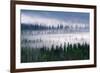 Misty Forest Near Mount Brooks-null-Framed Photographic Print