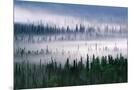 Wood Mount
