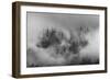 Misty forest, Paro Valley, Bhutan-Art Wolfe-Framed Photographic Print