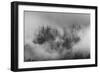 Misty forest, Paro Valley, Bhutan-Art Wolfe-Framed Photographic Print