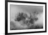 Misty forest, Paro Valley, Bhutan-Art Wolfe-Framed Photographic Print