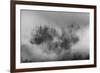 Misty forest, Paro Valley, Bhutan-Art Wolfe-Framed Premium Photographic Print