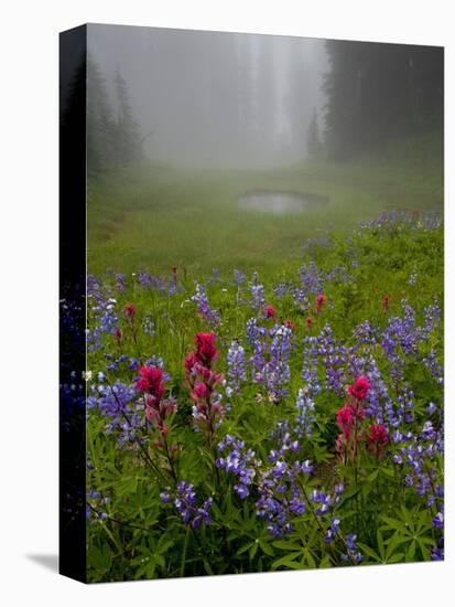 Misty forest pool with broadleaf lupin and magenta paintbrush, near Dewey Lake, Mount Rainier-Bob Gibbons-Stretched Canvas