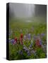 Misty forest pool with broadleaf lupin and magenta paintbrush, near Dewey Lake, Mount Rainier-Bob Gibbons-Stretched Canvas