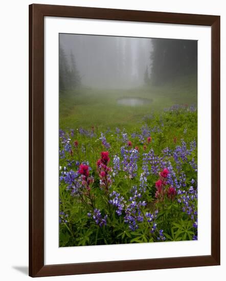 Misty forest pool with broadleaf lupin and magenta paintbrush, near Dewey Lake, Mount Rainier-Bob Gibbons-Framed Photographic Print