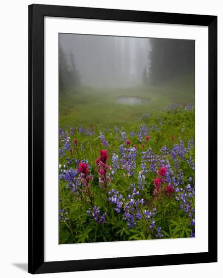 Misty forest pool with broadleaf lupin and magenta paintbrush, near Dewey Lake, Mount Rainier-Bob Gibbons-Framed Photographic Print