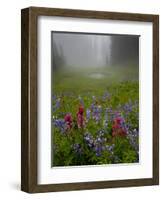 Misty forest pool with broadleaf lupin and magenta paintbrush, near Dewey Lake, Mount Rainier-Bob Gibbons-Framed Photographic Print