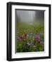 Misty forest pool with broadleaf lupin and magenta paintbrush, near Dewey Lake, Mount Rainier-Bob Gibbons-Framed Photographic Print