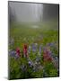 Misty forest pool with broadleaf lupin and magenta paintbrush, near Dewey Lake, Mount Rainier-Bob Gibbons-Mounted Photographic Print