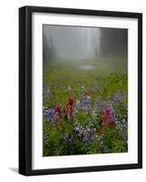 Misty forest pool with broadleaf lupin and magenta paintbrush, near Dewey Lake, Mount Rainier-Bob Gibbons-Framed Photographic Print