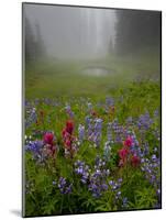 Misty forest pool with broadleaf lupin and magenta paintbrush, near Dewey Lake, Mount Rainier-Bob Gibbons-Mounted Photographic Print