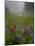Misty forest pool with broadleaf lupin and magenta paintbrush, near Dewey Lake, Mount Rainier-Bob Gibbons-Mounted Photographic Print