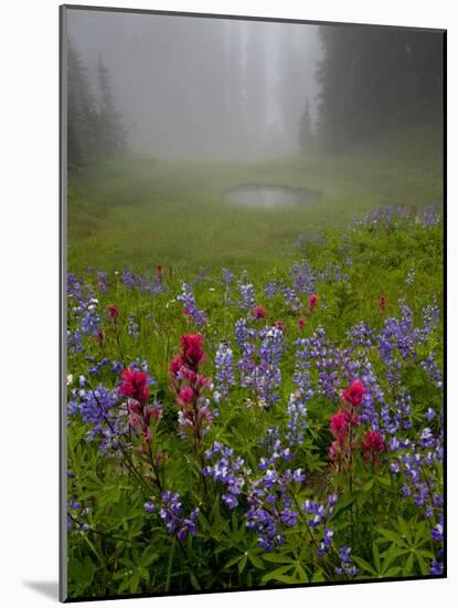 Misty forest pool with broadleaf lupin and magenta paintbrush, near Dewey Lake, Mount Rainier-Bob Gibbons-Mounted Photographic Print