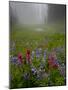 Misty forest pool with broadleaf lupin and magenta paintbrush, near Dewey Lake, Mount Rainier-Bob Gibbons-Mounted Photographic Print