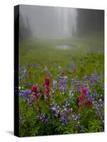 Misty forest pool with broadleaf lupin and magenta paintbrush, near Dewey Lake, Mount Rainier-Bob Gibbons-Stretched Canvas
