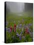 Misty forest pool with broadleaf lupin and magenta paintbrush, near Dewey Lake, Mount Rainier-Bob Gibbons-Stretched Canvas