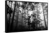 Misty Forest-Tim Oldford-Framed Stretched Canvas